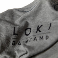 Charger l&#39;image dans la galerie, Loki Falcon Series T-shirt
